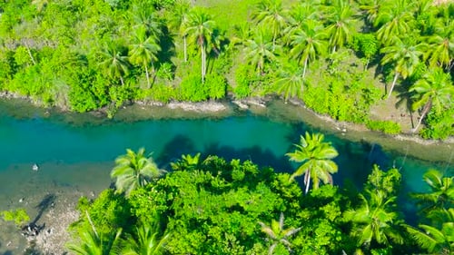 Aerial View of a Vibrant Turquoise River Winding Through Lush Tropical Jungle and Abundant Palm