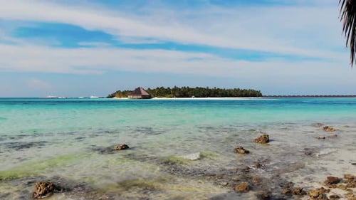 Incredible Maldivian Background. Palm Branch And Ocean. Island In The Ocean