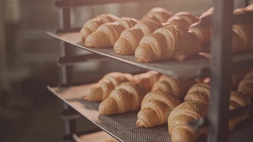 Freshly Baked Croissants Cooling on Racks
