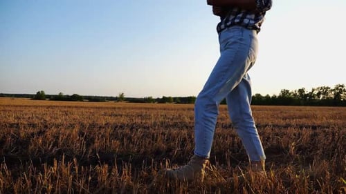 Female Agronomist Using Digital Tablet While Goes Among Wheat Meadow at Sunset Farmer Monitoring