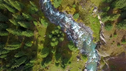 Aerial view of mountain river and fir trees