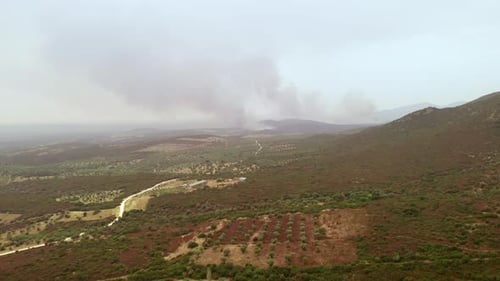Drone Aerial View Wildfire Flames Forest Fire Brush Fire summer