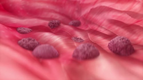 Microscopic Cell Growth in Organic Red Tissue Background