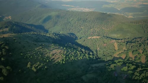 Lush Mountain Range with Green Forests Aerial View