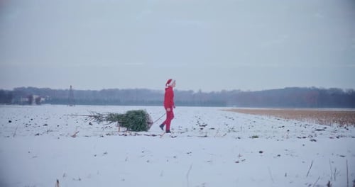 Homme tirant un traîneau avec arbre de Noël sur un paysage enneigé