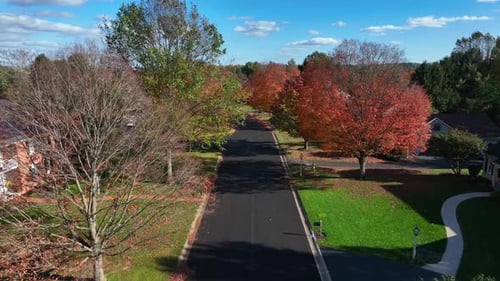 Neighborhood street lined with colorful fall foliage on trees. Aerial rising shot on autumn day.