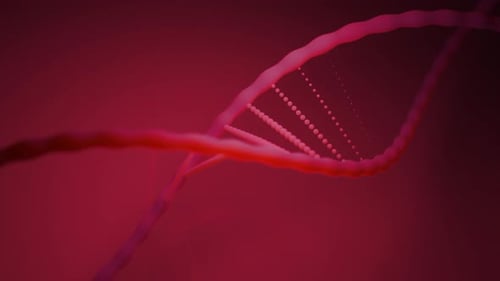 Moving 3d dna structure