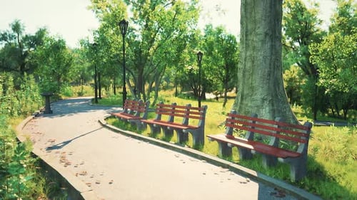A Peaceful Park Path Lined with Benches Surrounded By Lush Greenery