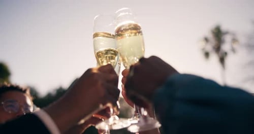 Friends toasting Champagne Flutes in the Sunlight
