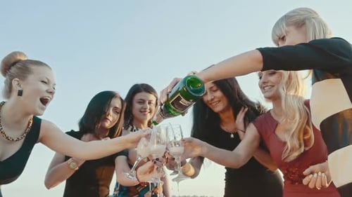 Garota feliz tilintando óculos na festa de despedida de solteira da noiva à beira do lago na praia