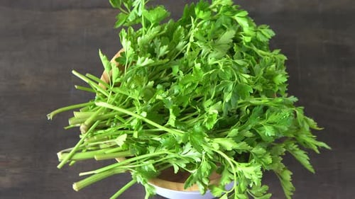 Parsley Green Leaves