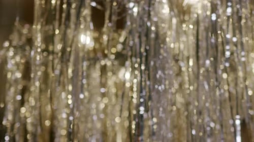 People Cheers Champagne in Front of Shiny Tinsel