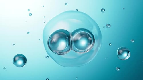 Cells division, Cell divides into two cells, biology and medicine concept, 3d rendering.