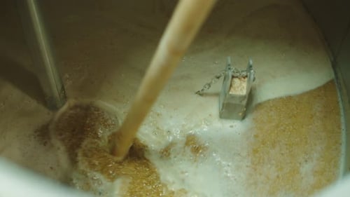 Fábrica de produção de cerveja artesanal Fabricação de cervejarias colocando grãos de malte de cevada no closeup do transportador