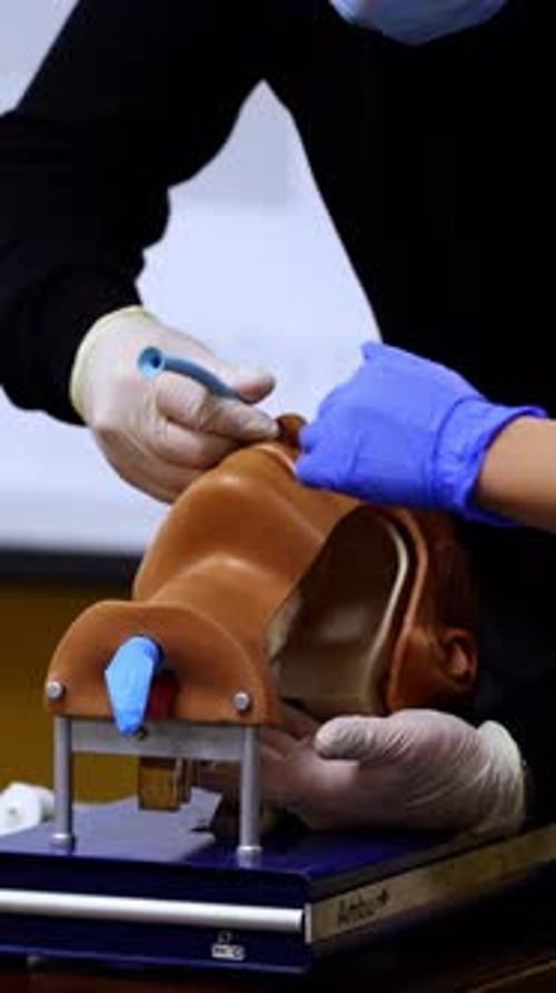 Medical Mannequin Intubation Practice in Hospital Setting