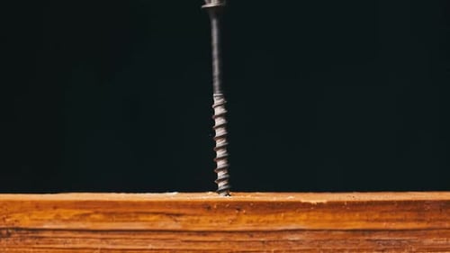 Screw is Screwed Into a Wooden Board with a Screwdriver CloseUp