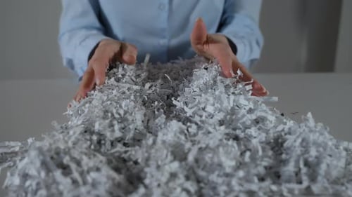 Shredded Paper Office Documents in Employee Woman Hands