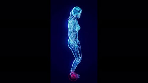 Medical 3D Futuristic X-Ray Human Skeleton Ankle Pain Animation