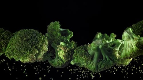 Broccoli Rises and Falls Filmed on a Highspeed Camera at 1000 Fps