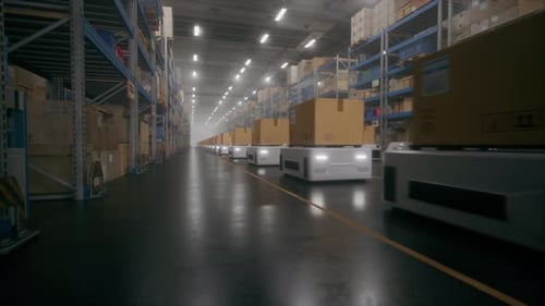 Autonomous Delivery Robots Working in a Modern Warehouse