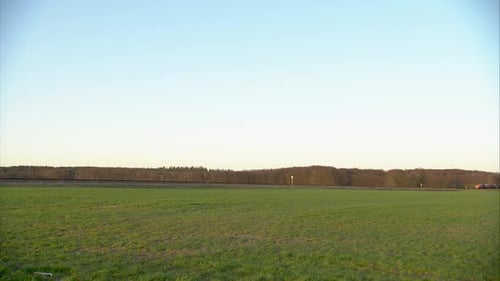 Freight train speeding through a green field at sunset