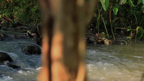 the beauty of the river in nature