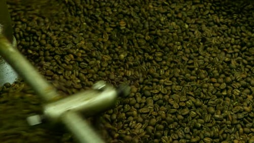 Coffee Beans Agitated During Industrial Roasting Process