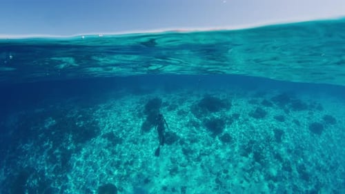 Freediver in the Tropical Sea Sexy Woman Freediver Swims Underwater in the Tropical Sea and Ascends