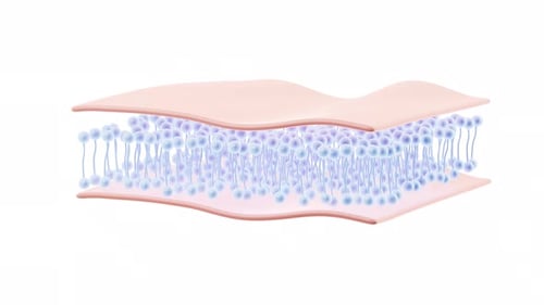 Facial skin care masks and skin tissues with alpha channel, 3d rendering.