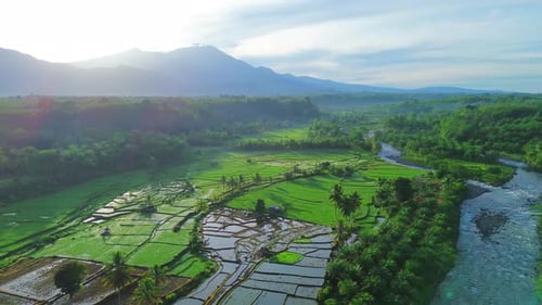 Beautiful morning view indonesia panorama landscape paddy fields with beauty color and sky natural