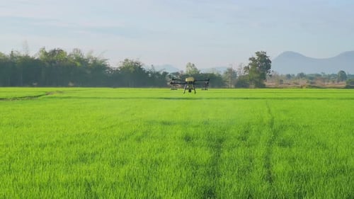 Zumbido agrícola volando y rociando fertilizantes y pesticidas sobre tierras de cultivo