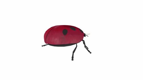 Animated Ladybug Walking 3D Rendered on White Background