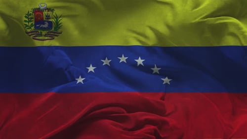 Realistic Venezuela National Flag Waving Loop