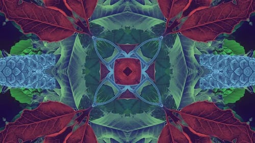 Abstract Nature Kaleidoscope Seamless Loop Background