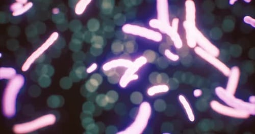 Colorful Micro Patterns Creating a Vibrant Abstract View at Night