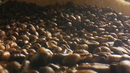 Pile of Dark Roasted Coffee Beans