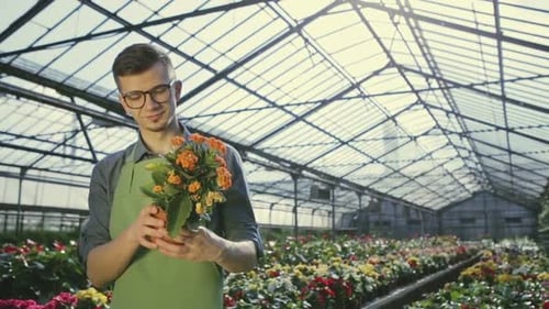 Happy Gardener Holding Potted Flowers in Greenhouse