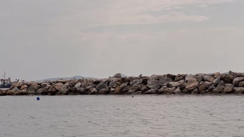 beach, waves in the sea; birds, seagulls flying