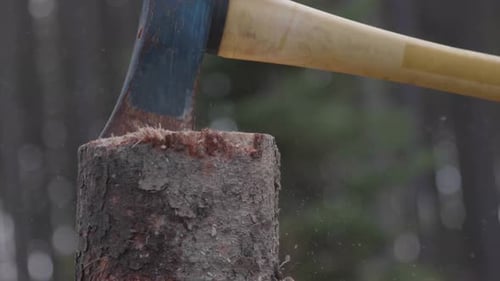 Axe Chopping Wood Log Outdoors in Nature
