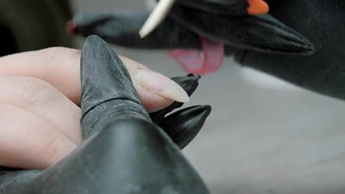 Lifting an der Nagelhaut mit einem orangefarbenen Holzstab, kombiniertes Maniküre, Maniküre, Pflege