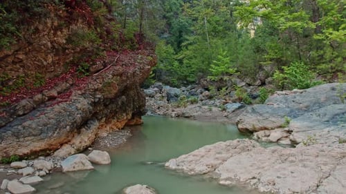 Natural Stone Stream