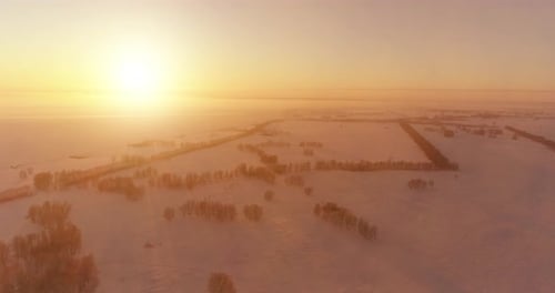 Aerial Drone View of Cold Winter Landscape with Arctic Field Trees Covered with Frost Snow and