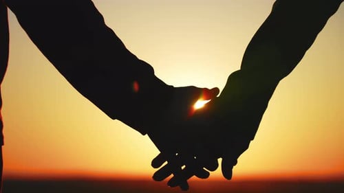 Close Up of Brother and Sister Holding Hands Against Sunset in Field
