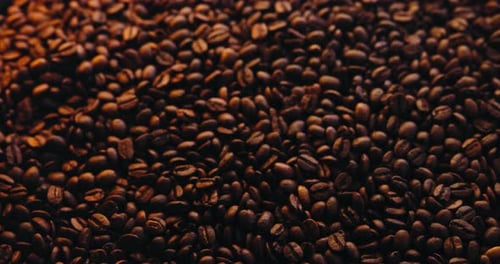 Coffee beans, manufacturing and roast with closeup for production, texture