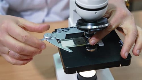 Laboratory researcher puts the sample under the microscope. Medical laboratory at modern hospital.