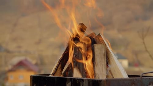 Burning Wood in a Fire Pit at Sunset