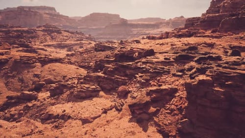 Cracked Canyon Terrain Emphasizing Erosion and Delicate Flora Features
