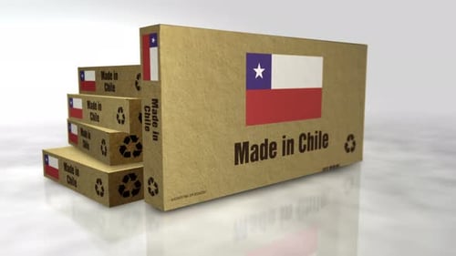 Made in Chile box 3d object