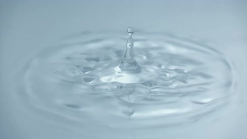 Water Drop Impact Creating Crown Splash and Ripples