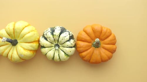 Ornamental Gourds and Pumpkin on Light Tan Background